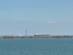 -江滩湿地公园