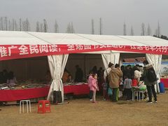-秀丽东方