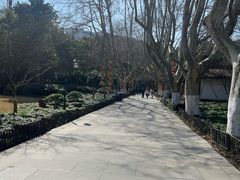 -杭州黄龙洞