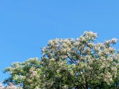 -浙江大学(玉泉校区)