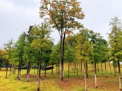 -滨湖塘西河公园