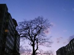 -中央民族大学