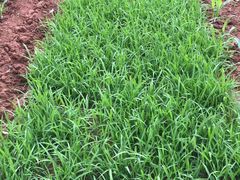 -小六农家乐(崇明西沙湿地店)