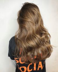 -SALON V