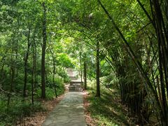 -黔灵山公园