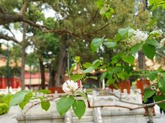-故宫博物院(故宫)