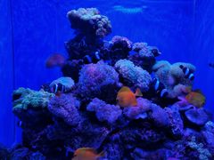 -多彩贵州城极地海洋世界