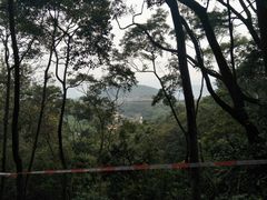 -广州市帽峰山景区
