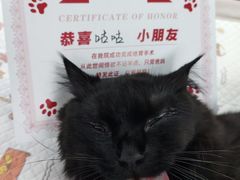 -御宝贝24h宠物医院·转诊中心·CT核磁血透中心(厦门总院)