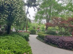 -郑和公园
