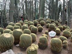 -南山植物园