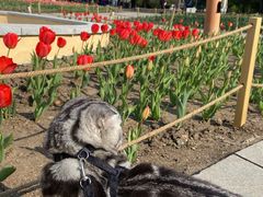 -长春公园(普阳街道)