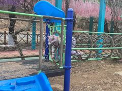 -雪山彩虹谷景区