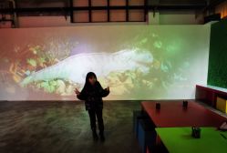 -恐龙探索乐园(磁器口店)