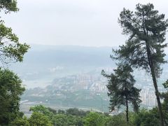 -缙云山景区