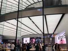 -Apple零售店(新街口店)