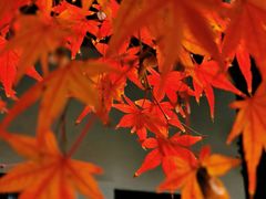 -狼山风景名胜区