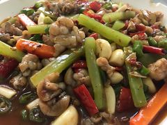 泡椒牛蛙-龙潭李鸭子同乐饭店