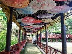 -武汉紫薇都市田园