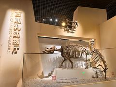 -国家自然博物馆