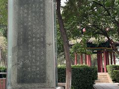 -赵州桥景区