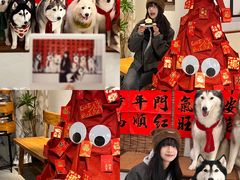 -星多哈·狗咖·拼豆·咖啡