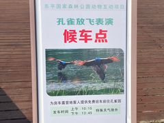 -东平国家森林公园