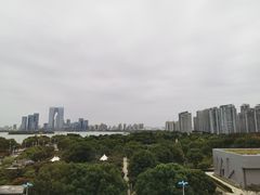 -苏州金鸡湖文博诺富特酒店