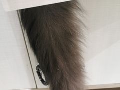 -藏猫猫咖啡主题馆(中央大道店)