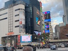 -涩谷区