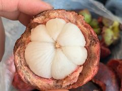 -焦记老潼关肉夹馍(东五路店)