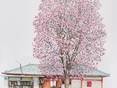 -BRAVO 赞·美艺术中心·系统美术·书法·艺考(双井校区)