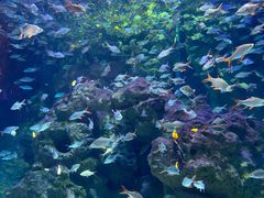 -成都浩海立方海洋公园