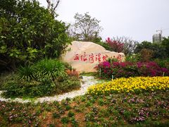 -五缘湾湿地公园