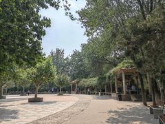 -丰台科技园生态主题公园