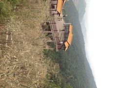 铁山坪森林公园-铁山坪森林公园