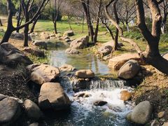 -新洲生态园