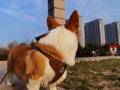 -枫千叶精致料理