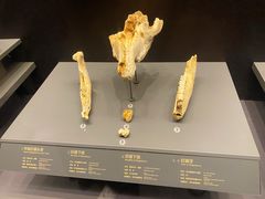 -贵州省博物馆(新馆)