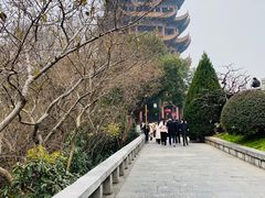 -黄鹤楼公园(黄鹤楼)