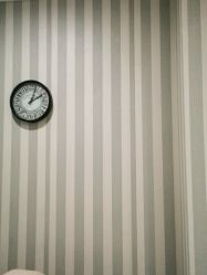 -静博士·养生养颜