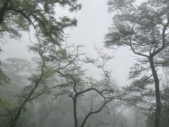 -泰山风景名胜区