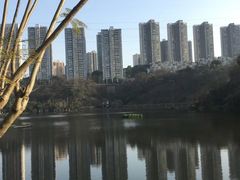 -重庆彩云湖湿地公园