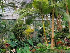 -北京植物园-展览温室