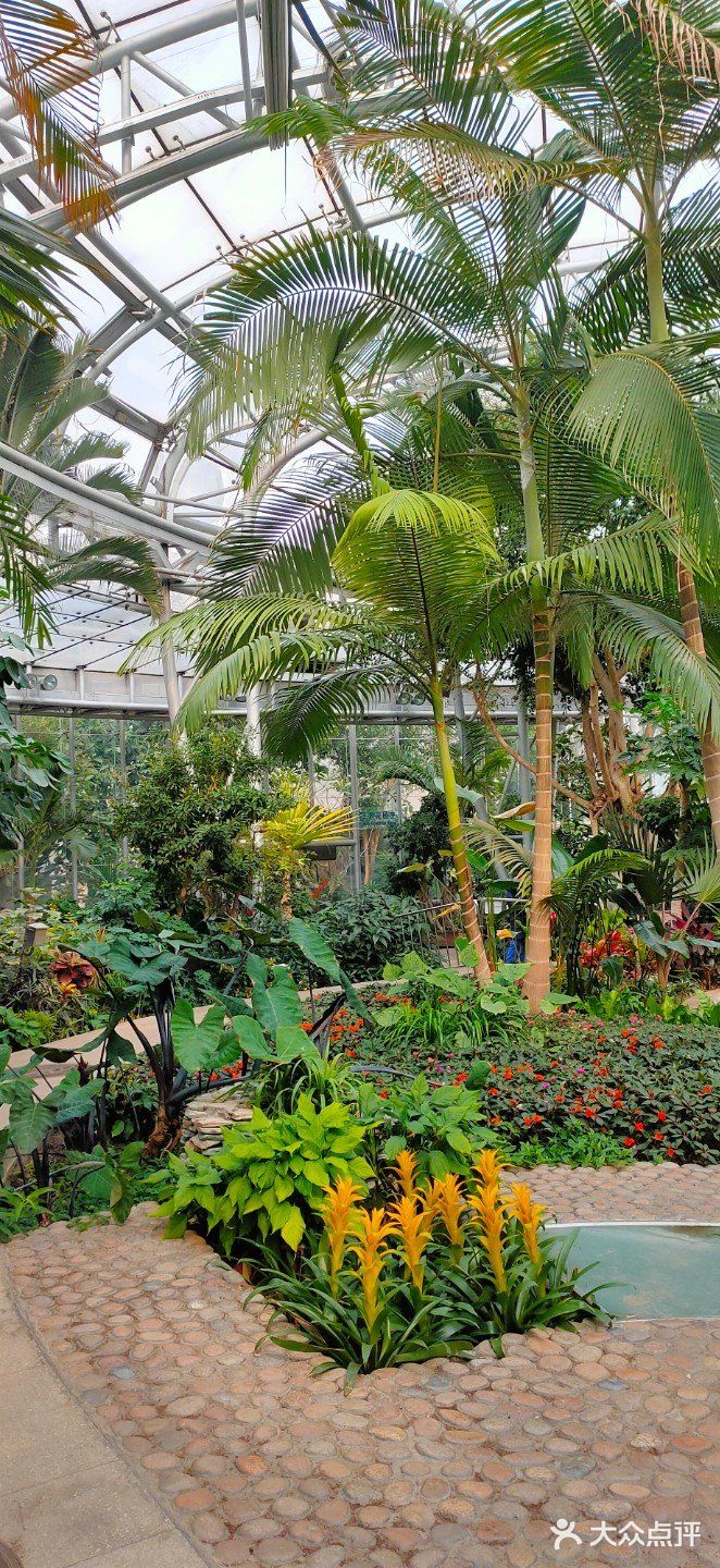 北京植物园-展览温室图片