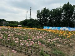 -中国农业博物馆