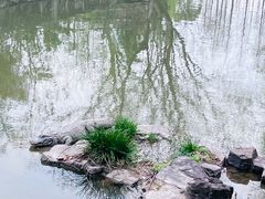 -上海野生动物园