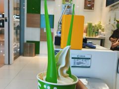 -Salud撒露欧洲冻酸奶(蓝色港湾店)