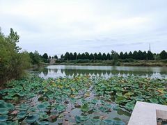 -南湖国家城市湿地公园
