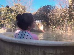 -仁爱团泊湖温泉中心